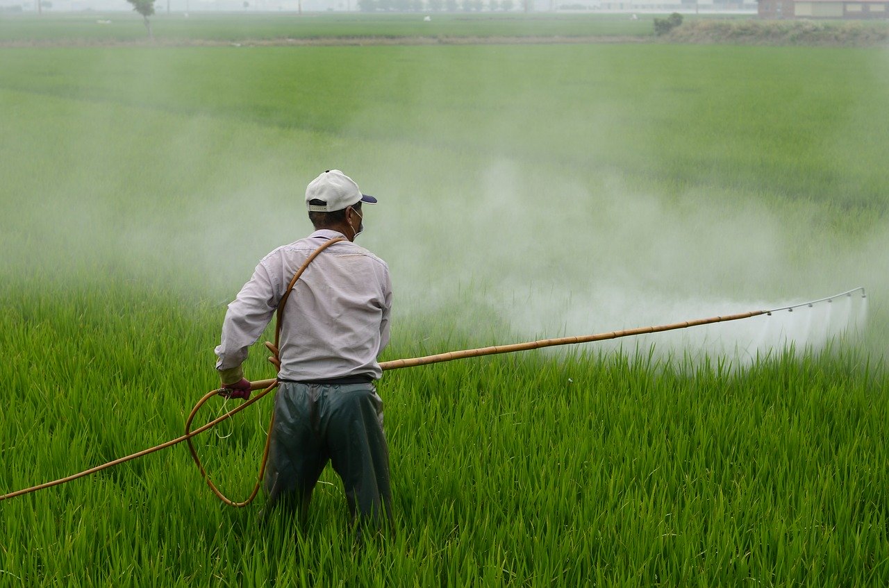 Johnson v. Monsanto: A Case Study on Pesticides and Cancer