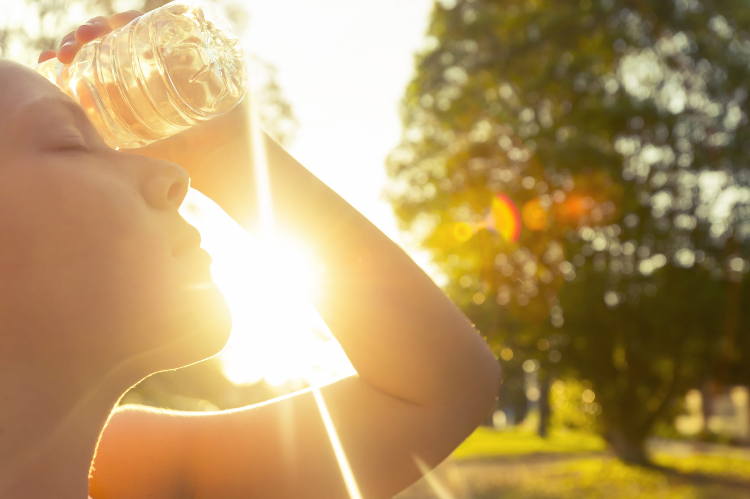 Staying Healthy During Summer Heat