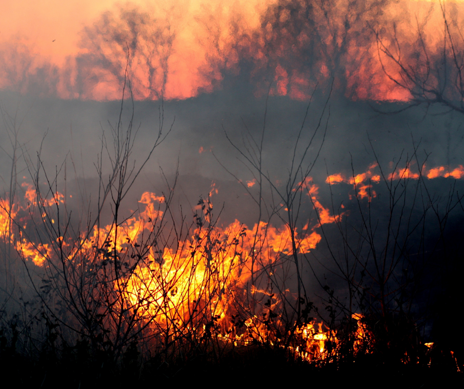 Tips to protect yourself and your family from the risks of wildfire smoke