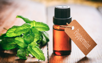Benefits of Peppermint