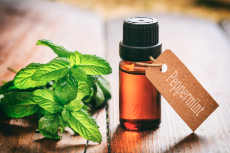 Benefits of Peppermint