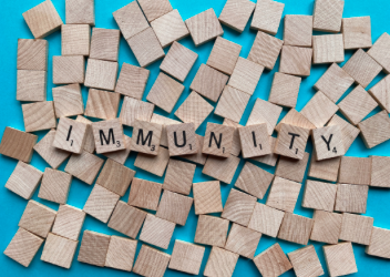 Eating for your Immune System