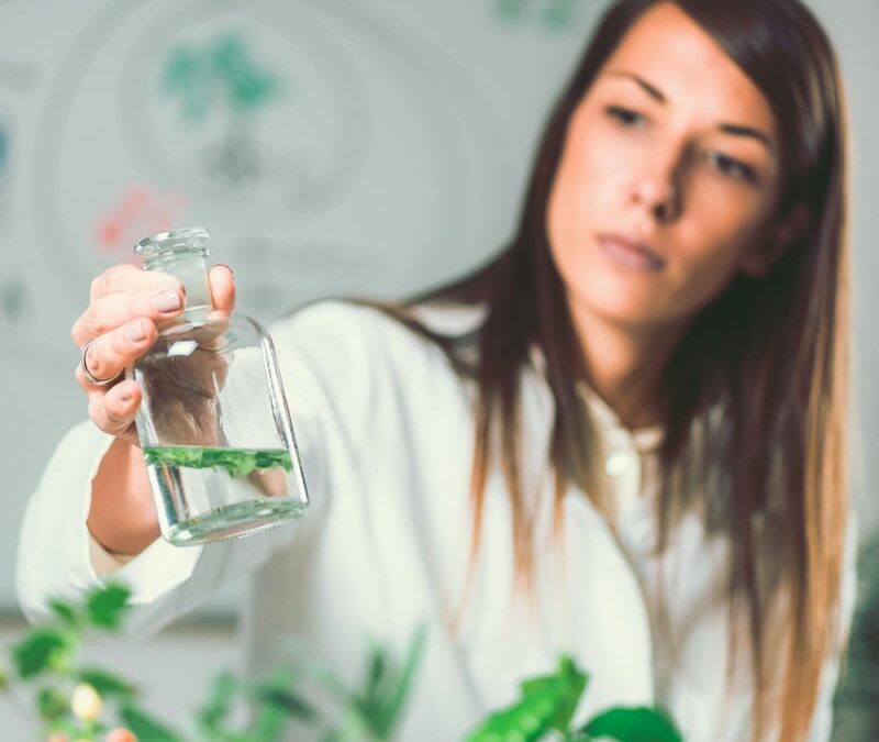 Exploring Natural Health Care: Benefits, Approaches, and Integration with Conventional Health Care