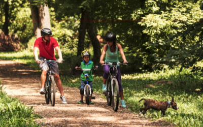 Nature Therapy: The Practice of Spending Time in Nature for its Therapeutic Benefits