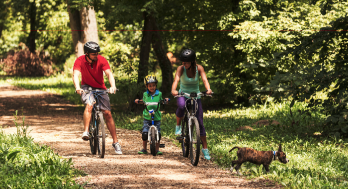 Nature Therapy: The Practice of Spending Time in Nature for its Therapeutic Benefits