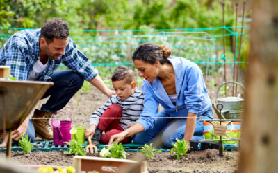 Nurturing Health and Well-Being: Exploring the Holistic Benefits of Gardening