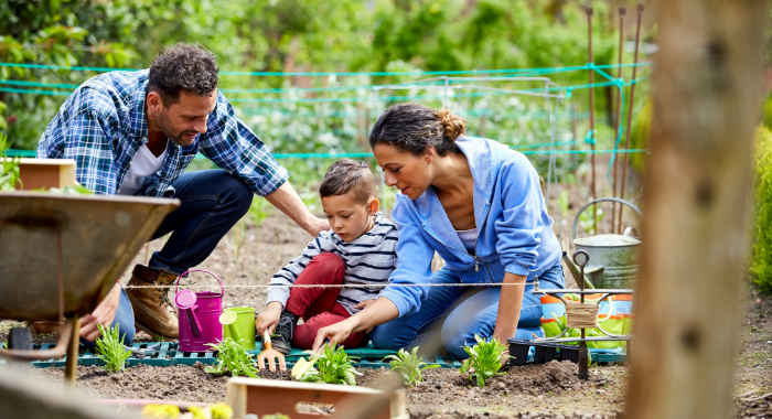 Nurturing Health and Well-Being: Exploring the Holistic Benefits of Gardening