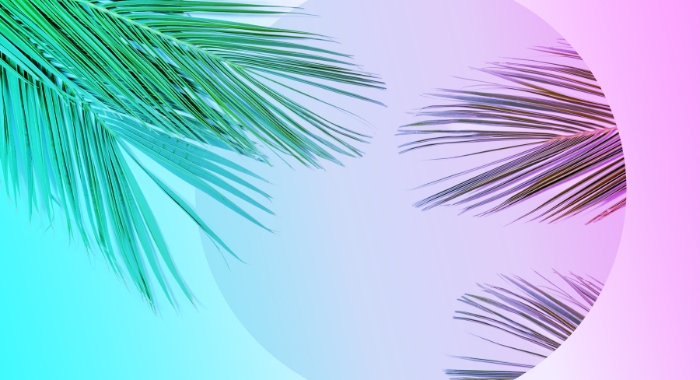 Embracing Summer: Holistic Health Practices for a Vibrant Season