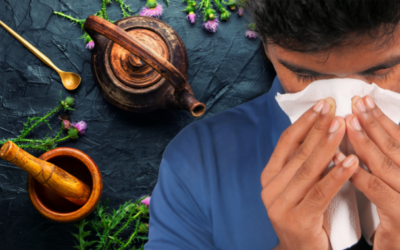 Holistic Approaches for Long-Term Relief from Summertime Allergies