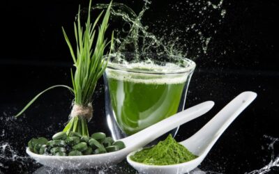 The Benefits and Side Effects of Wheatgrass, Spirulina, and Chlorella: A Comparative Analysis